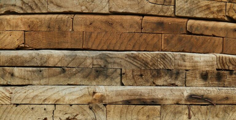 A Comprehensive Guide to Wood Types for Woodworking